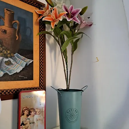 Casa Dunas A15 * Κοραλέχο